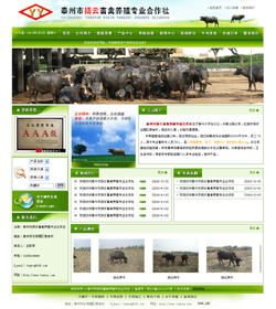 ̩���ГP�������Bֳ���I������